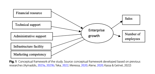 Business landscape and growth determinants of micro‑ and small enterprises working in WASH sector: evidence from Ethiopia